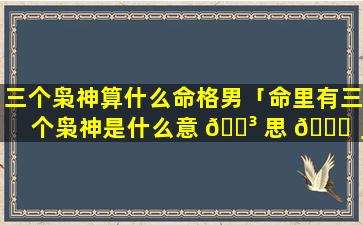 三个枭神算什么命格男「命里有三个枭神是什么意 🐳 思 🐛 」